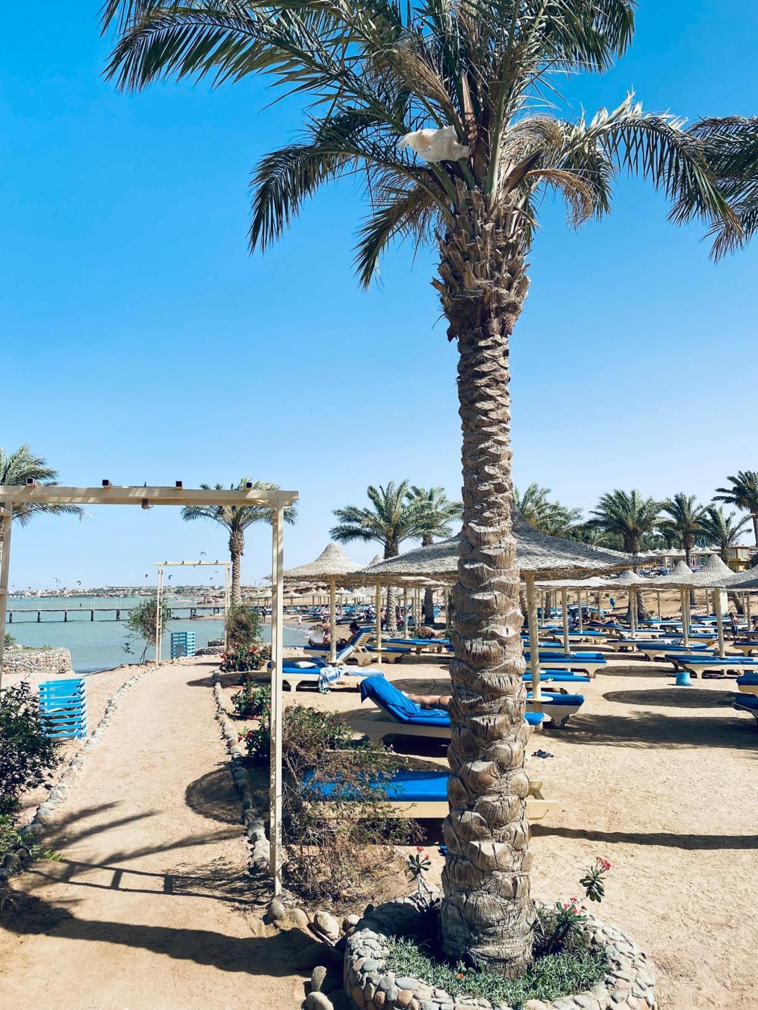 In El Karma Aqua Near El Gouna 2